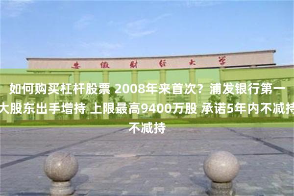 如何购买杠杆股票 2008年来首次？浦发银行第一大股东出手增持 上限最高9400万股 承诺5年内不减持