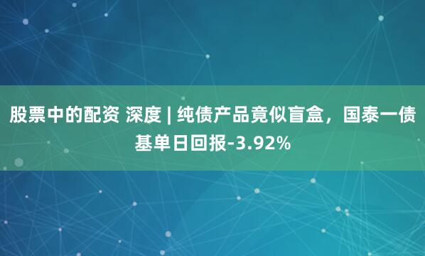 股票中的配资 深度 | 纯债产品竟似盲盒，国泰一债基单日回报-3.92%