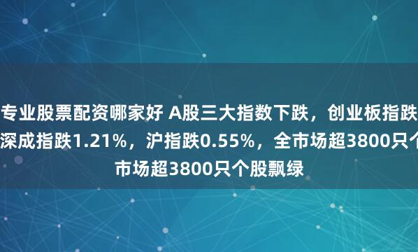 专业股票配资哪家好 A股三大指数下跌，创业板指跌逾2%，深成指跌1.21%，沪指跌0.55%，全市场超3800只个股飘绿