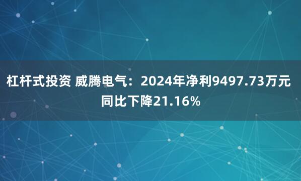 杠杆式投资 威腾电气：2024年净利9497.73万元 同比下降21.16%