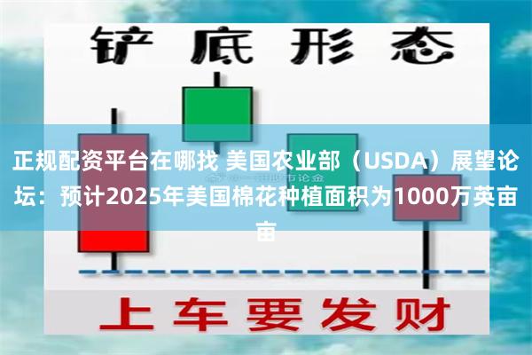 正规配资平台在哪找 美国农业部（USDA）展望论坛：预计2025年美国棉花种植面积为1000万英亩